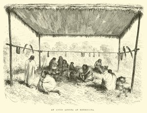 An Antis Ajoupa at Bitiricaya by Edouard Riou